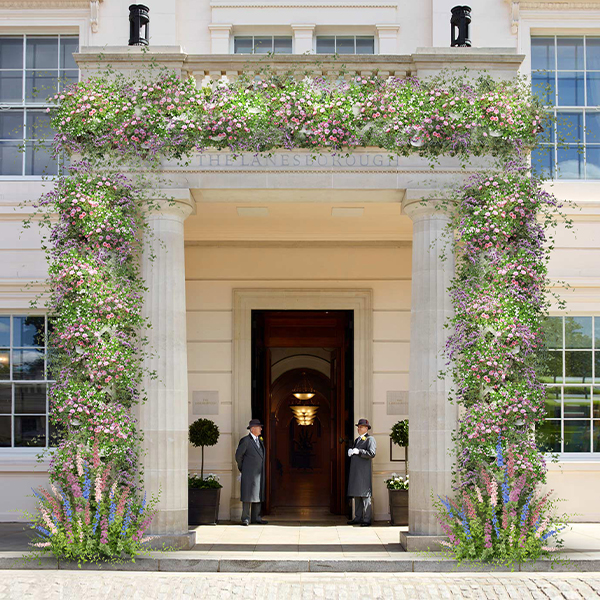 Belgravia in Bloom