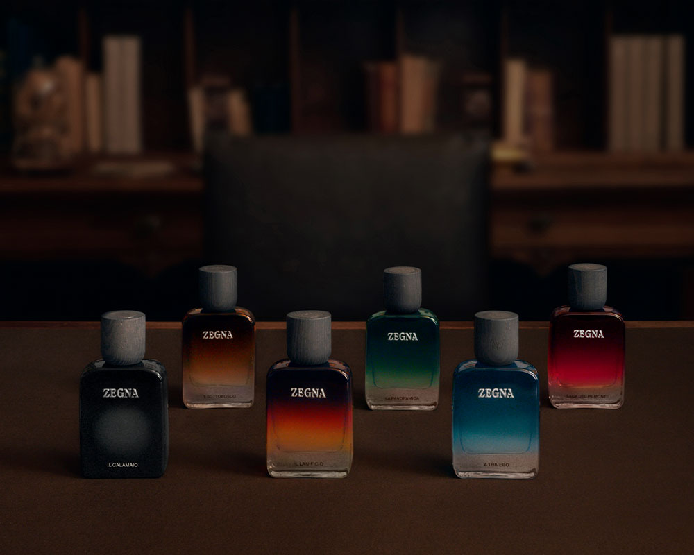 DISCOVER MORE