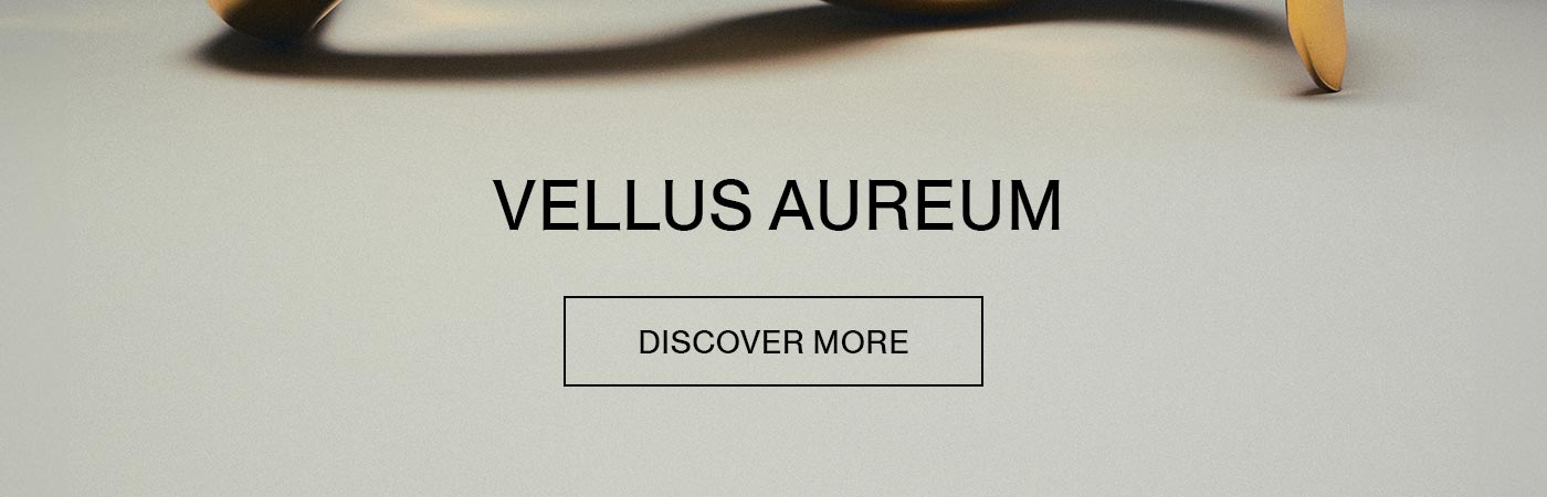 DISCOVER MORE