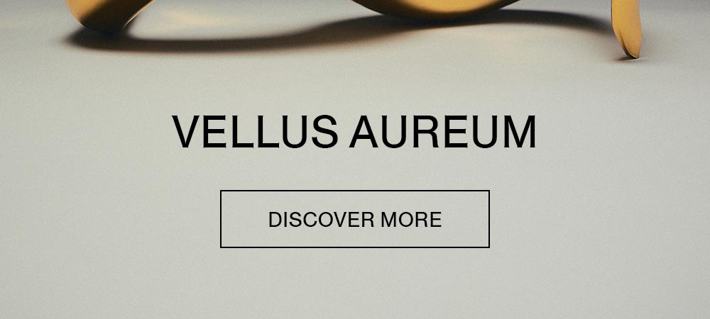DISCOVER MORE