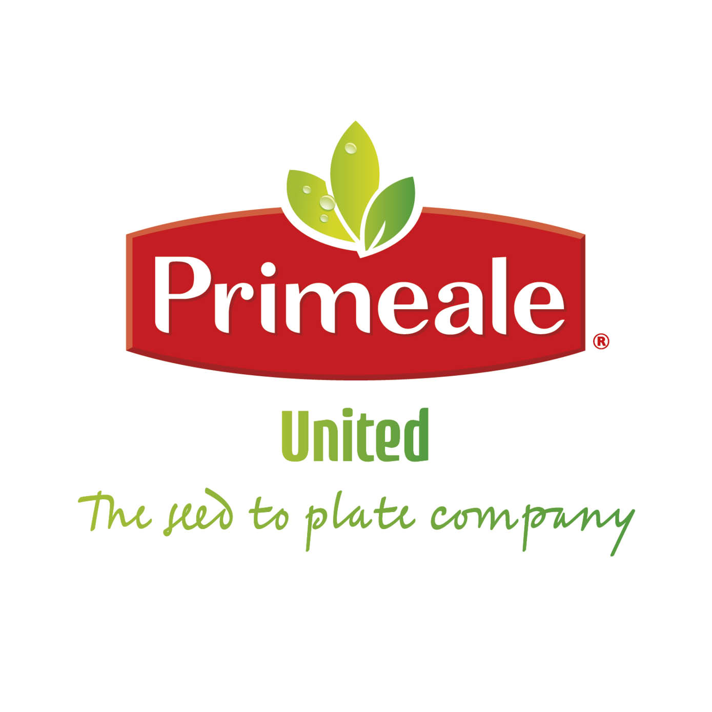 Primeale United