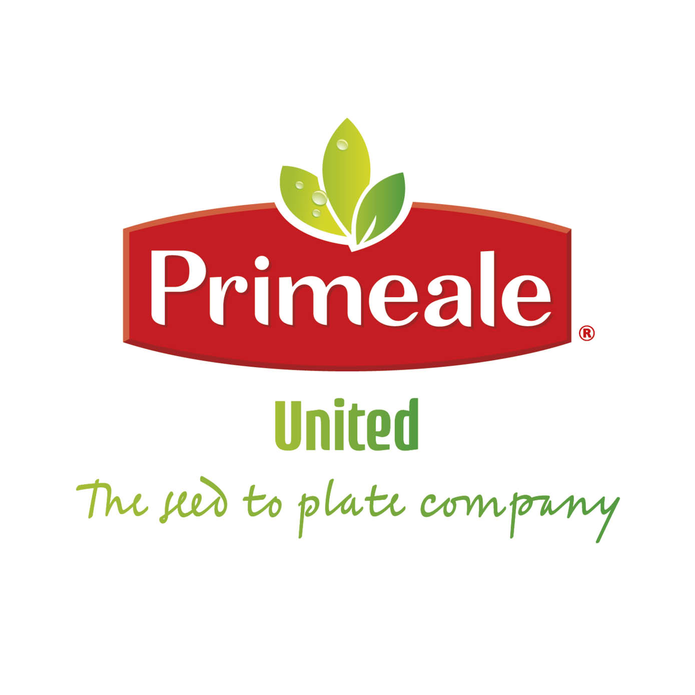 Logo Primeale United