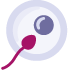 Icono Fecundación In Vitro con óvulo donante