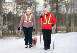 Kaksi henkilöä sauvakävelee lumihangessa heijastinliivit päällä. Heidän välissään on koira.