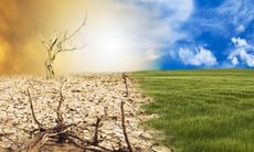 The Great Sustainability Transition