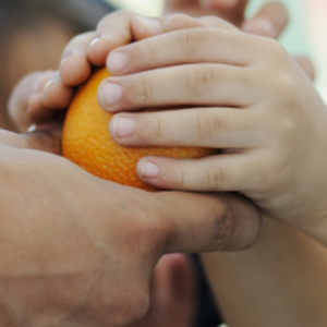 Handen met sinasappel