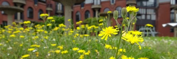 Alumni nieuws Universiteit Leiden april 2026