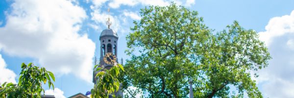 Header alumninieuwsbrief