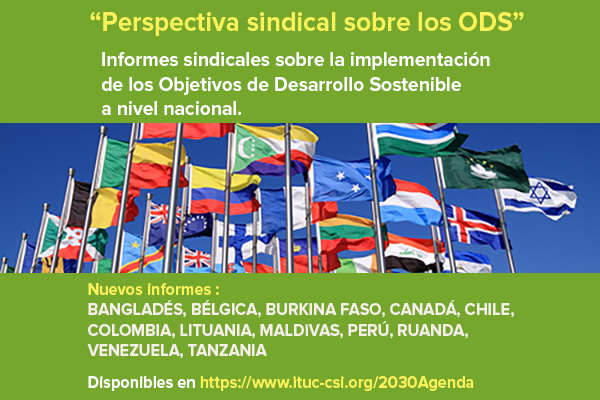 Consulte todos los informes