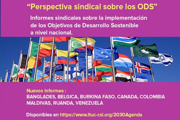 Consulte todos los informes