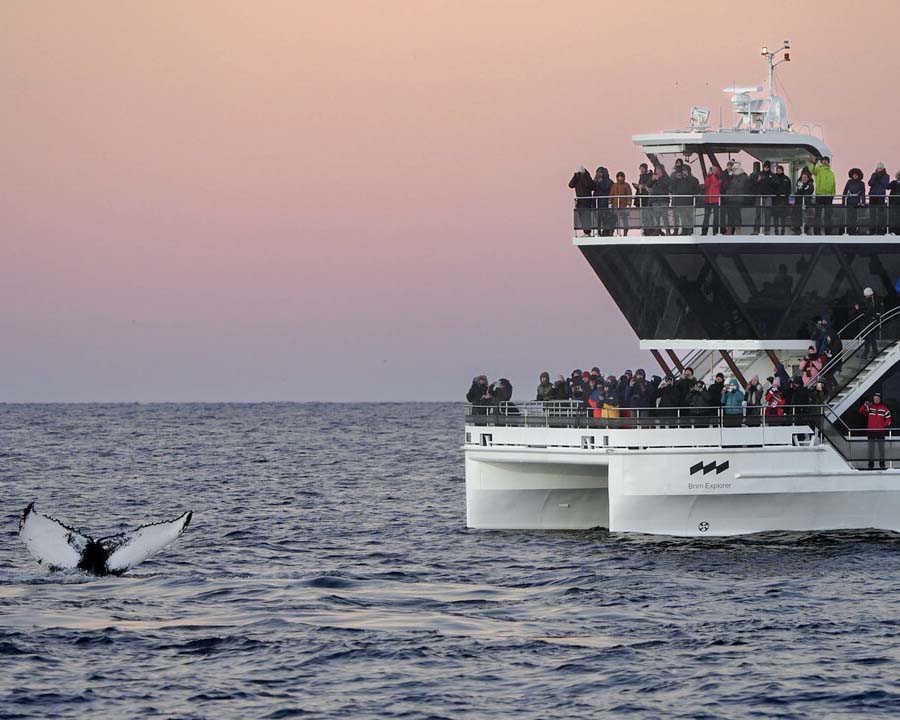 Silent whale watching, Brim explorer