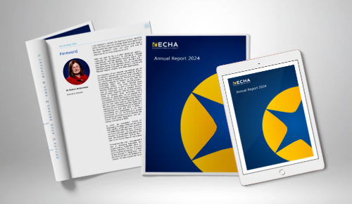 Screenshots of the annual report on grey background