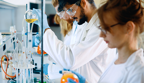 Scientists working in a lab