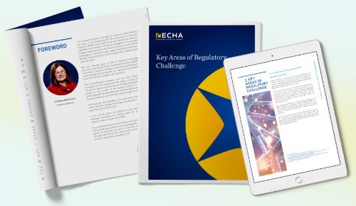 Picture of the report in paper and digital form